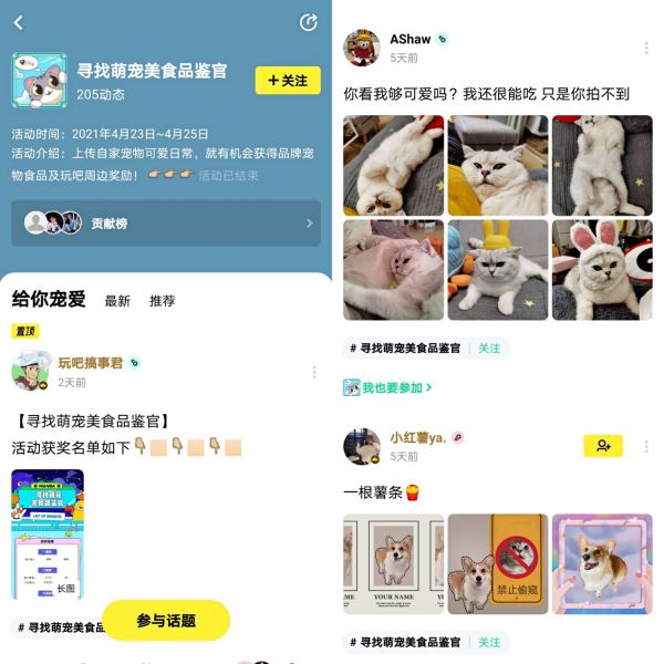 玩吧App：寻找萌宠美食品鉴官