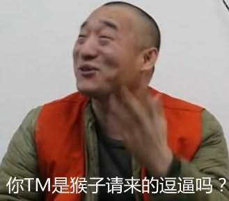 你是猴子请来的逗比吗出处在哪_你是猴子请来的逗比吗是什么意思