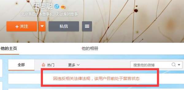 王思聪微博被禁言 曾怒怼以岭药业