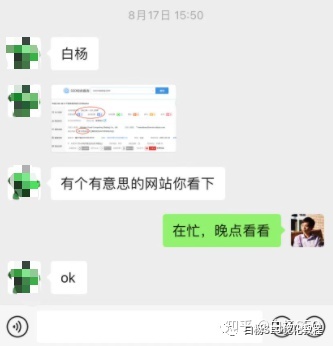 白杨SEO：如何拆解一个权6网站SEO优化技巧和变现？实战举例