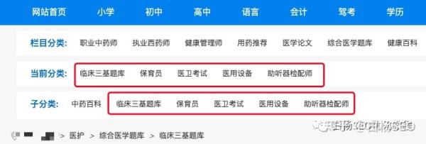 白杨SEO：如何拆解一个权6网站SEO优化技巧和变现？实战举例