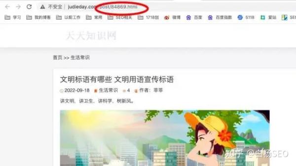 某网站SEO案例，网站无外链，仅半年日均IP近10万，为什么？