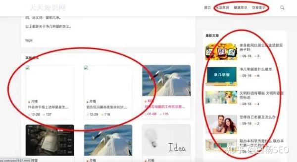 某网站SEO案例，网站无外链，仅半年日均IP近10万，为什么？