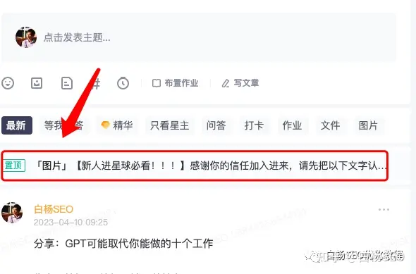 白杨SEO：学会GPT和SEO结合，可能让你更好的搞定全网自然搜索流量！