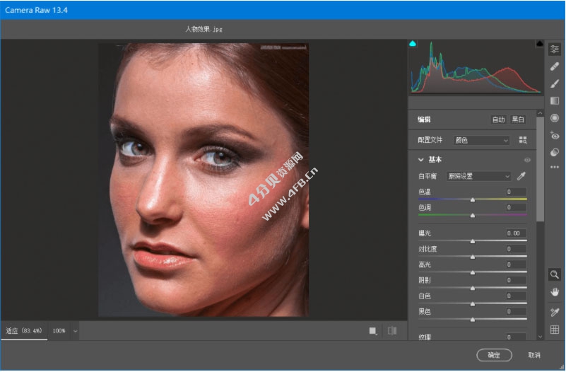 Adobe Camera RAW v15.3.0.1451 增效工具 - Windows