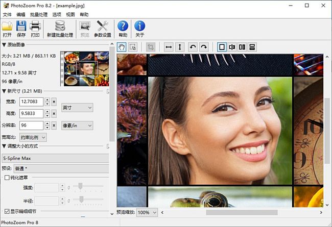 PhotoZoom(图像无损放大软件) Pro v8.2.0 多语便携版