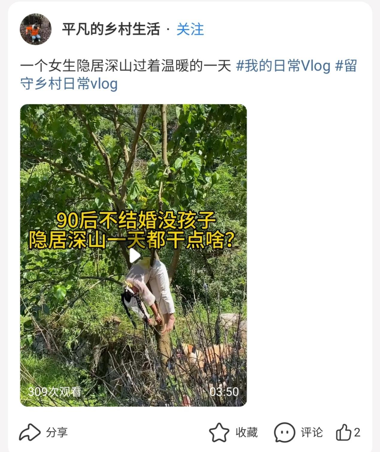 不愿回流上班，离职博主们不断寻找新的“栖息地”